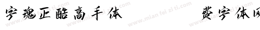 字魂正酷高手体 Heavy字体转换